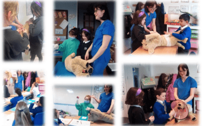 Year 2 Vet Visit, March 2023